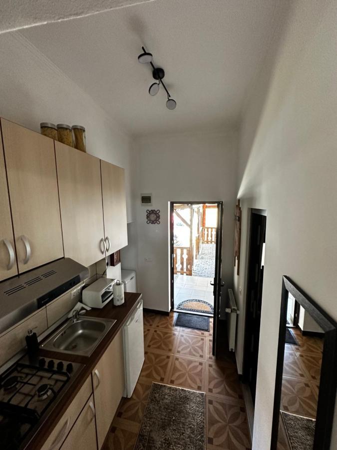 Borkum Apartment Sibiu Bagian luar foto